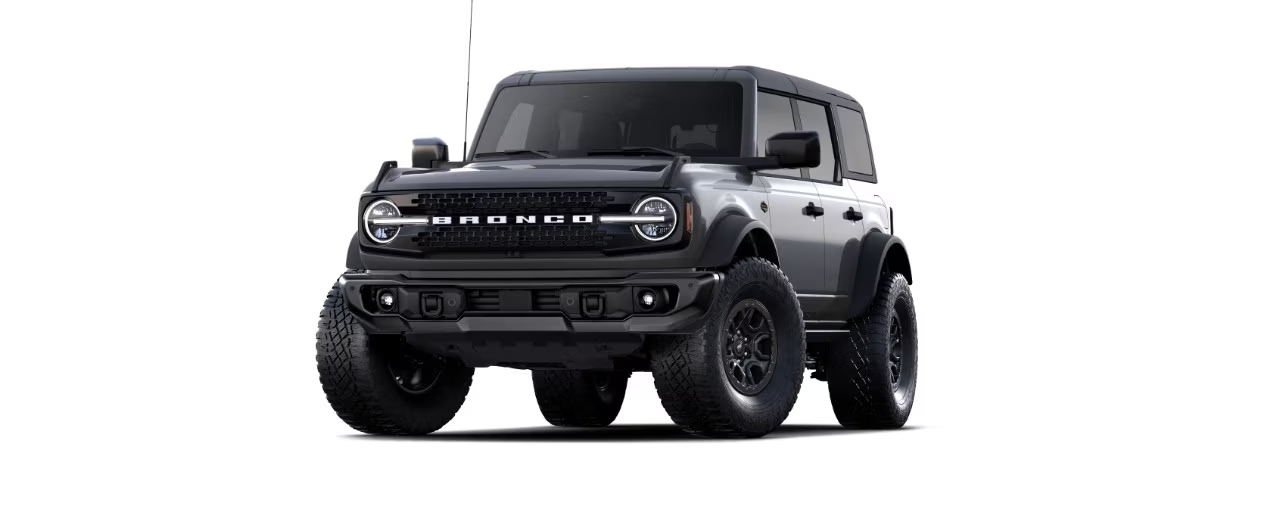 Bronco Gris Mercurio